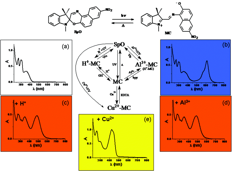 Schematic representation of the photochromic, acidichromic and metallochromic five-states molecular switch SpO.