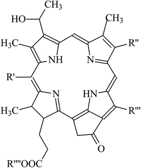 Structure of photosensitizer pigments present in Malacosteus niger (see the paper by Douglas et al.91 for more details about the identity of the R groups).