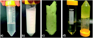 Photographs of (a) 1 wt% HPMC (4000 cps) solution; (b) aqueous foam formed by aerating HPMC solution; (c) porous cryogel obtained by removal of water by freeze drying and (d) comparative pictures of liquid oil (sunflower oil) on the left and organogel (with 98 wt% liquid oil) formed using cryogel on the right (also refer to Fig. S1).