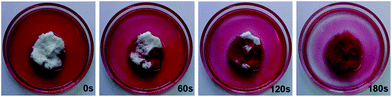 A series of photographs displaying the quick oil absorption by porous cryogel. Sunflower oil with Nile red dye was used for clear representation and images were captured every 60 seconds.