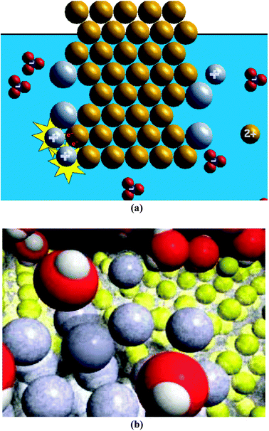 Screen shots for (a) the more simplified copper–silver animation created by Sanger and (b) the more complex copper–silver animation created by Tasker.