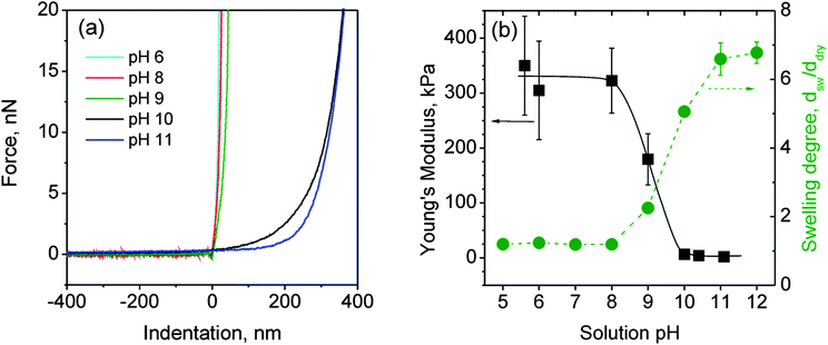 Force–indentation data for different swelling states (a) and Young's modulus (■) and swelling degree () (determined by ellipsometric measurements) as a function of the solution pH for a (BMAADq/PSS)3 film (b).