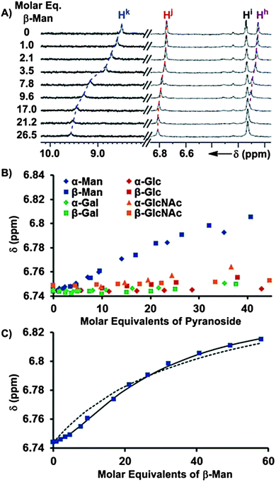 (A) 1H NMR (600 MHz, CDCl3, 25 °C) spectra obtained after the incremental addition of a 10.4 mM solution of β-Man to a 58.6 μM solution of 1, with dashed lines illustrating the induced changes in chemical shifts. (B) The chemical shift dependences of Hj of 1 (58.6 μM) is plotted as a function of molar equivalents of each of the eight added pyranosides from the 1H NMR titrations. (C) The fittings of the Hj chemical shift changes in response to the addition of β-Man to a model containing K1 (dashed line) and K1 + K2 (solid line).