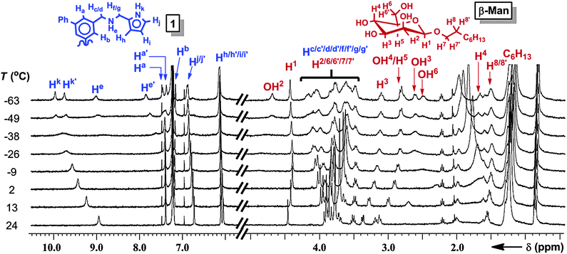 Variable temperature 1H NMR (400 MHz, CDCl3) spectra of 1 (1.0 mM) and β-Man (2.0 mM).