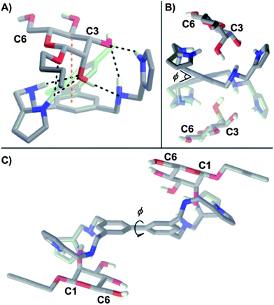 (A) Energy minimized structure (DFT, B3LYP/6-31+(d)) for 1:β-Man from an initial binding geometry obtained by an AMBER* mixed low-mode/torsional Monte Carlo conformation search. Intermolecular H-bonds are denoted by black dashed lines and C–H⋯π interactions are denoted by orange dashed lines. Three H-bonds occur between the hydroxyl group of C2 and both amino He and one pyrrole Hk protons of the receptor. Additionally, a C–H⋯π interaction between the phenyl ring and H4 and two more H-bonds between the hydroxyl group of C3 and an amino He and pyrrole Hk proton of the receptor were observed. Side views (B) parallel and (C) perpendicular to the biphenyl linkage of the energy minimized structure (DFT, B3LYP/6-31+(d)) for C2 symmetrical 1:β-Man2. The biphenyl dihedral is denoted by φ.