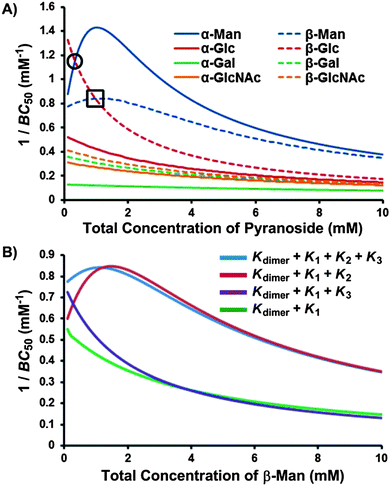 1/BC50 plots describing (A) the pyranoside concentration dependence for the overall binding strength (1/BC50) of receptor 1 toward each pyranoside, where higher values are indicative of stronger binding and crossover points, marked within a circle for β-Glc → α-Man and square for β-Glc → β-Man, denote changes in binding preference with increasing pyranoside concentration; and (B) the influence of each positive cooperative binding equilibria (K2 and K3) on the BC50 value of receptor 1 for β-Man.