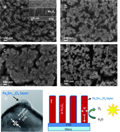 SEM image of (a) the pristine hematite after annealed at 750 °C for 30 min (inset: cross-section image), (b) and (c) hematite after treatment with different concentrations of Sn(iv) aqueous solution: 20 and 60 mM and annealed at 750 °C for 30 min. (d) Film shown in (b) after removing residual SnO2 in 1 M NaOH solution. (e) HRTEM image of hematite after treatment with 20 mM Sn(iv) solution. (f) Schematic effect of Sn(iv) treated hematite nanorod arrays for efficient water oxidation.