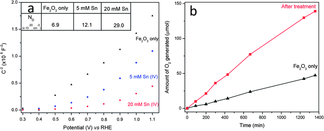 (a) Mott–Schottky plots in dark. Inset: ND is donor density with a unit of 1020 cm−3. (b) Time course of oxygen evolution of hematite photoanodes with and without 20 mM Sn(iv) treatment at an applied potential of 1.23 V vs. RHE in a 1 M NaOH electrolyte based on equal levels of hematite.