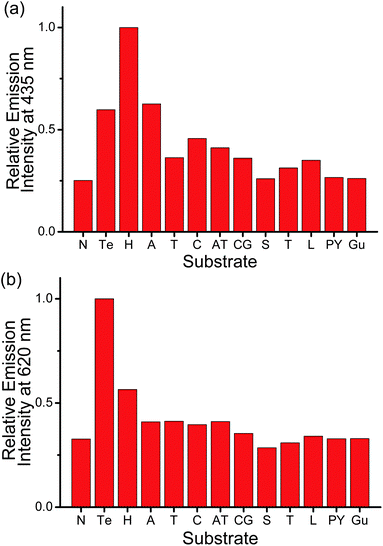 Relative emission intensity of PPE-SO3− and 2 at (a) 435 nm and (b) 620 nm in the presence of different substrates in the aqueous buffer solution (50 mM KH2PO4, pH 6.8). Substrate tested: N: no substrate added, Te: 3 μM human telomeric DNA, H: 3 μM HSA, A: 3 μM poly(dA)25, T: 3 μM poly(dT)25, C: 3 μM poly(dC)25, AT: duplex DNA with 3 μM poly(dA)25 and 3 μM poly(dT)25, CG: duplex DNA with 3 μM poly(dC)25 and 3 μM poly(dG)25, S: 300 μM spermine, T: 3 μM trypsin, L: 3 μM lysozyme, PY: 3 μM poly(tyrosine), Gu: 300 μM guanine. Concentration of PE-SO3− and 2 in the final solution mixture were both 45 μM. Excitation was at 371 nm.