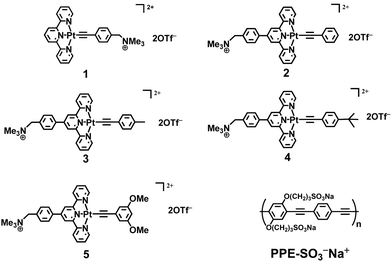 Chemical structures of complexes 1–5 and conjugated polyelectrolyte, PPE-SO3− Na+.