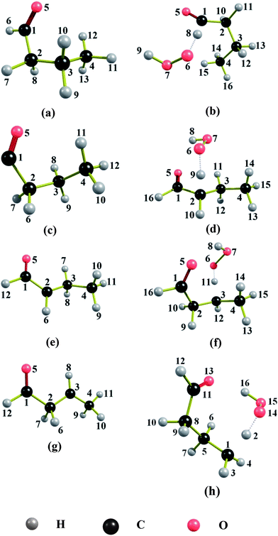 Global minimum structures of (a) butanal, (b) saddle point leading to the formation of butanoyl radical, (c) butanoyl radical, (d) saddle point leading to the formation of 1-oxo-2-butyl radical, (e) 1-oxo-2-butyl radical, (f) saddle point leading to the formation of 4-oxo-2-butyl radical, (g) 4-oxo-2-butyl radical and (h) saddle point leading to the formation of 4-oxo-1-butyl radical.