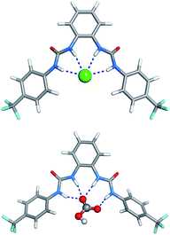 Molecular mechanics lowest energy structures of 5·Cl− (top) and 5·HCO3− (bottom) complexes, with N⋯Cl− distances ranging from 3.367 to 3.378 Å, and N⋯O distances ranging from 2.748 to 2.873 Å.