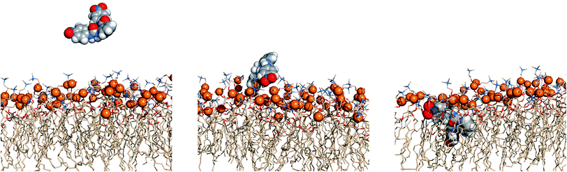 Passive diffusion of 6·Cl− along POPC bilayer illustrated with three sequential snapshots of a representative MD replicate (R2). Remaining details as given in Fig. 13.