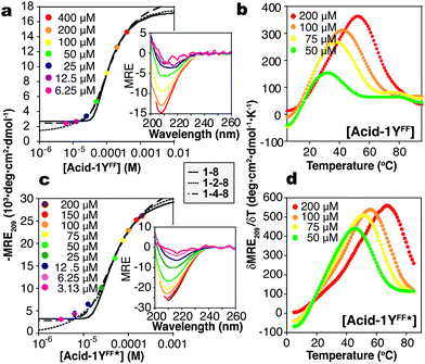 Self-association of designed β-peptide bundles. Circular dichroism spectra of Acid-1YFF (a and b) and Acid-1YFF★ (c and d) as a function of concentration (a and c) and temperature (b and d). Plots of MRE209 as a function of [β-peptide] were fit to a monomer–dimer–octamer (1–2–8) equilibrium (dotted line), a monomer–tetramer–octamer (1–4–8) equilibrium (dashed line) or monomer–octamer equilibrium (solid line). Inset: wavelength-dependent CD spectra of Acid-1YFF and Acid-1YFF★ (MRE in units of 103 deg cm2 dmol−1). The TM is defined as the maximum of a plot of δMRE209·δT−1versus temperature.