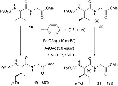 Palladium-catalyzed C(sp3)–H γ-arylation of dipeptides.