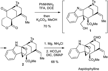 Garg's synthesis of aspidophylline using a Fischer indole approach.