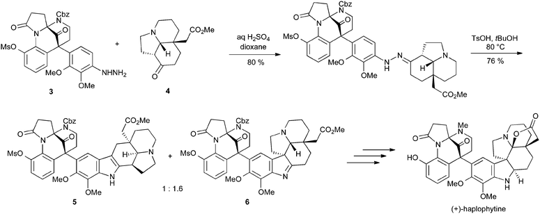 Fukuyama's synthesis of haplophytine using a Fischer indole approach.