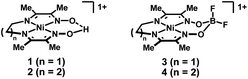 Diimine–dioxime complexes of nickel containing either a bridging proton (1 and 2) or BF2 (3 and 4) group.