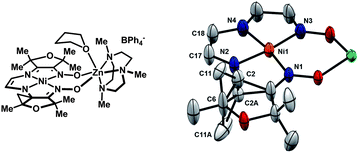Solid-state structure of 13 highlighting parts of the ligand relevant to the hydrogen-atom abstraction reactivity (thermal ellipsoids at 50% probability). The occupancy of C2, C2A, C11, and C11A refined to a value of 50%. Selected bond lengths (Å): Ni1–N1, 1.883(3); Ni1–N2, 1.820(3); Ni1–N3, 1.921(3); Ni1–N4, 1.881(4); N2–C2, 1.43(1); N2–C2A, 1.48(1); C17–C18, 1.357(6).