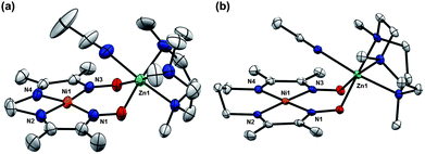 Solid-state structures of (a) 5 and (b) 6 excluding ClO4− counterions and non-coordinated solvent molecules (thermal ellipsoids at 50% probability). Selected bond distances (Å) and angles (°) for 5: Ni1–N1, 1.884(2); Ni1–N2, 1.835(3); Ni1–N3, 1.885(2); Ni1–N4, 1.836(2); N1–Ni–N3, 106.40(7); N2–Ni–N4, 86.3(1). Selected bond distances (Å) and angles (°) for 6: Ni1–N1, 1.923(2); Ni1–N2, 1.905(2); Ni1–N3, 1.911(2); Ni1–N4, 1.917(2); N1–Ni–N3, 99.49(9); N2–Ni–N4, 96.5(1).