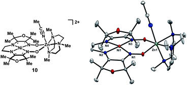 Solid-state structure of 10 excluding ClO4− and BPh4− counterions and non-coordinated solvent molecules (thermal ellipsoids at 50% probability).
