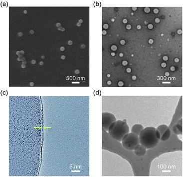 Electron microscopy images of nanospheres 3a prepared by thermal polymerization of 1 and 2 in 20% EtOH/DMSO. (a) SEM image. (b) TEM image. (c) HR-TEM image showing a thin wall (average thickness: 0.7 ± 0.2 nm) indicated by arrows. (d) Cryo-TEM image in THF.