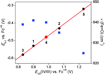 Plot of Ep,c (black circles) and ν(FeO) values (blue squares) versus E1/2(iv/iii) vs. Fc+/0 for the FeIVO complexes in this study (data from Tables 2 and 1, respectively). The red line represents the best linear fit for the Ep,cvs. E1/2(iv/iii) correlation with the red dot indicating an estimation of the E1/2(iv/iii) value for 4 from the linear correlation.
