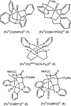 Structures of oxoiron(iv) complexes 1–5 studied in this work. Numerical designations 1a–5a refer to corresponding [FeII(LN5)(NCCH3)]2+ complexes, while 1b–5b refer to corresponding [FeIII(OH)(LN5)]2+ species.
