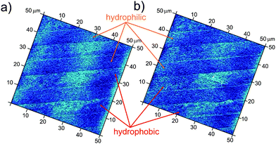 AFM images of the patterns: (a) dry samples (b) in degassed water. The width of the hydrophobic stripes is 7 μm and width of the hydrophilic stripes is 6.7 μm.