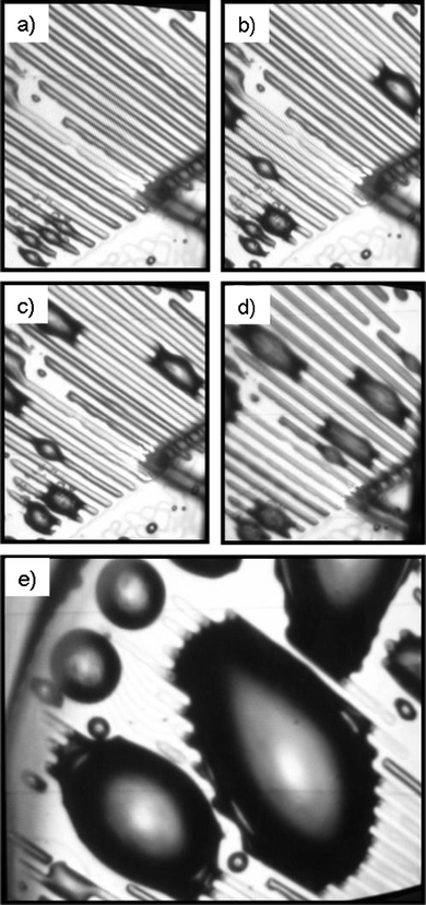 Optical microscopy observation of selective gas adsorption onto patterned surfaces (the width of the hydrophobic stripes is 10 μm and the width of the hydrophilic stripes is 20 μm) in deionized water: (a) gas channel formation on the hydrophobic stripes and appearance of the first bulge formation; (b–d) the increased adsorbed gas volume promotes the formation of many bulges on the hydrophobic stripes, which may form bridges between two neighbourhood stripes; (e) the bulges increase their size by attracting the adsorbed gas from the hydrophobic stripes.