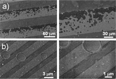 SEM imaging of patterned surfaces with different width of the hydrophobic and hydrophilic stripes after 30 min of sonication at standard conditions.