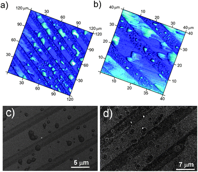 Top: AFM images of the patterns after EtOH–water solvent exchange procedure: overview (a) and zoom (b) images. Bottom: SEM images of the patterns after EtOH–water solvent exchange procedure: after 3 min (c) and 10 min (d) of sonication.