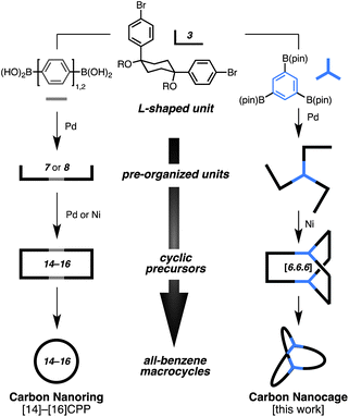 Our strategy for the synthesis of all-benzene macrocycles.