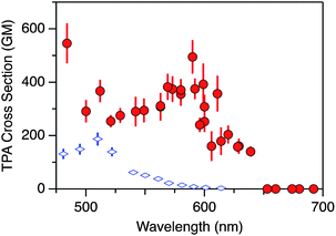 Two-photon absorption cross-section spectra of 1 (circles) and 2′′′,5′′′-didecyl-p-septiphenyl (rhombi) in CHCl3. 1 GM = 10−50 cm4 s per molecule per photon.