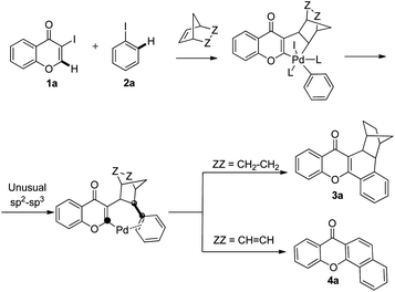 A proposed sp2–sp3 coupling process in the palladium-catalyzed reaction of 3-iodochromone with iodobenzene and norbornadiene or norbornene.