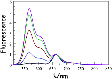 Fluorescence spectra recorded for the B(CAR)NDPP compounds in MTHF at room temperature following selective excitation into DPP. The spectra are normalized at the peak of the B emission. N.B The intensity of the DPP band seen around 570 nm increases progressively as the molecular length increases from N = 1 (black curve) to N = 5 (plum curve).