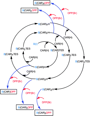 Protocol use for the implementation of carborane units and preparation of the target compounds.