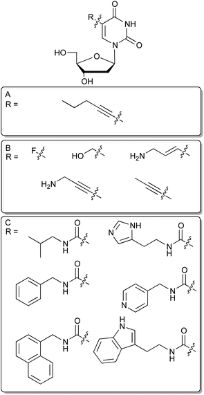C5 modified deoxyuridines. (A): 5-pentynyl-dU nucleoside. (B): Selection of commercially available modified dU derivatives suitable for SELEX. (C): Modified dU analogs recently employed for in vitro selection.