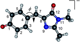 The structure of deprotonated p-hydroxybenzylidene-2,3-dimethylimidazolinone anion, a model for the GFP chromophore, with the atomic numbering and torsional angle, ϕ, referred to in the manuscript.