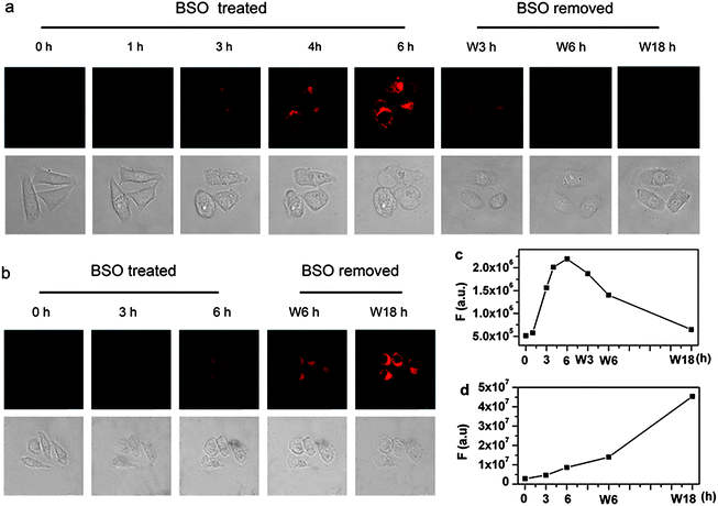 A near-infrared reversible fluorescent probe for real-time imaging of redox  status changes in vivo