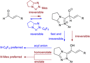 Bode's work: the N-Mes effect in NHC-mediated processes.