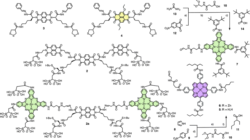 Structure of initiators 2 and 2a, and propagators 3 and 4, and synthesis and structure of stack exchangers 5–7. (a): (1) 12, 13, ZnCl2, 6 NH4.Mo7O24, nitrobenzene, 185 °C, 4 h, 83%, (2) Na2S, DMF, 65 °C, 16 h, 98%; (b) 10, HATU, collidine, DMF; (c): (1) 14, HATU, collidine, DMF, 2 h, rt, 32% (2 steps), (2) TMSBr, DCM, 2 h, rt (86%); (d): (1) 8, 9, propionic acid, 140 °C, 30 min, 17%; (2) SnCl2, HCl, 30 min, 77%; (e) 10, HATU, DIPEA, DMF, rt, 5 h; (f): (1) 11, HATU, DIPEA, DMF, 4 days, rt, 27% (2 steps), (2) TFA, DCM, 40 min, rt, 51%.