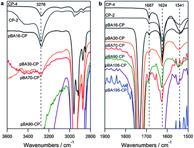 ATR-IR of cyclic peptides and (pBAn)2–CP conjugates after precipitation from water (a) in the amide A N–H stretching region and (b) in the amide I and II stretching region.