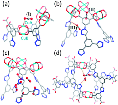 GCMC simulations of CO2 adsorption in NOTT-122a at 10 (a and b) and 50 kPa (c and d). Three likely CO2 adsorption sites in NOTT-122a derived from GCMC at 10 kPa are indicated: site I (CuA center) is shown in (a) and sites (ii) and (iii) are shown in (b). At 50 kPa, CO2 molecules were found in the narrow channel of Cage B shown in (c) and in the small cavity created by four BTTI6− units connecting Cages B and C (d).