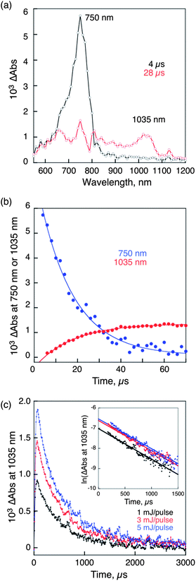 (a) Transient absorption spectra of Ni2–CPDPy(OC6) with Li+@C60 in deaerated PhCN at room temperature taken at 4 and 28 μs after nanosecond laser excitation at 520 nm. [Ni2–CPDPy(OC6)] = 2.5 × 10−5 M, [Li+@C60] = 5.0 × 10−5 M. (b) Rise and (c) decay time profiles at 1035 nm with different laser intensities (1, 3, 5 mJ per pulse). Inset: first-order plots.