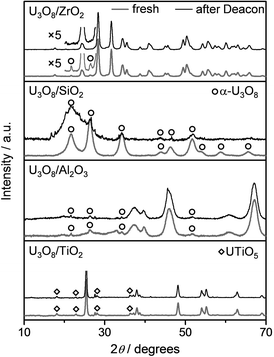 XRD patterns of supported U3O8 samples in fresh form (blue lines) and after Deacon reaction (black lines). Unmarked reflections belong to the corresponding carriers.