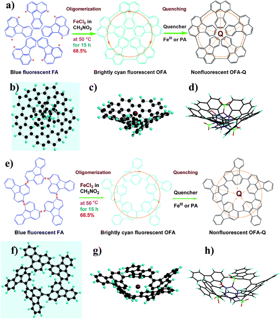 (a) Symmetric and (e) asymmetric chemical oxidative oligomerizations of FA by (a) 1,6- and (e) 1,4-oxidative coupling could produce a conical shaped OFA with minimal energy as determined by Chem3D® Ultra Molecular Modeling and Analysis 2003. A schematic of the π-electron transfer complex with a quencher Q is presented where the orange dotted lines represent the π-electrons; a top view of the ball and stick model of the (b) symmetric and (f) asymmetric OFA; a side view of the ball and stick model of the (c) symmetric and (g) asymmetric OFA with FeIII depicted as the bigger scarlet ball; and a side view of the stick model of the (d) symmetric and (h) asymmetric OFA–PA complex. The ball and stick models were created using Chem3D® Ultra Molecular Modeling and Analysis 2003 in order to show possible spatial configurations of the OFA.