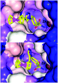Comparison of the space filling in the active site of hCA II by (a) 8a (PDB 3P55) and (b) 9a (PDB 3P44) highlighting how a slight change in geometry can alter the fit in the active site.35