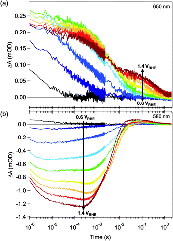 Effect of applied electrical bias in the transient absorption decay dynamics of nanostructured hematite photoanodes, after bandgap excitation with 355 nm laser light. (a) Probed at 650 nm, and (b) probed at 580 nm. The transient decays shown are measured at 0.1 V intervals within the 0.6 to 1.4 V vs. RHE range, as indicated in the figures. Adapted from ref. 58.