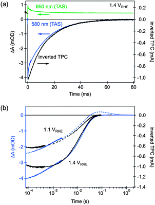 Comparison of TAS and TPC decays.Ideally TAS should be compared with the charge remaining to be extracted, but where the TPC kinetics are dominated by electron–hole recombination, as in the present case, both the TPC decay and charge remaining decay will be approximately single exponential. (a) TAS decays probed at 650 nm (green line) and 580 nm (blue), and inverted TPC decay (black), for a hematite electrode biased at 1.4 VRHE; (b) the effect of applied bias on the decay dynamics of the TAS signal probed at 580 nm (blue lines) and inverted TPC (black lines). Adapted from ref. 58.
